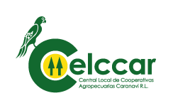 CELCCAR