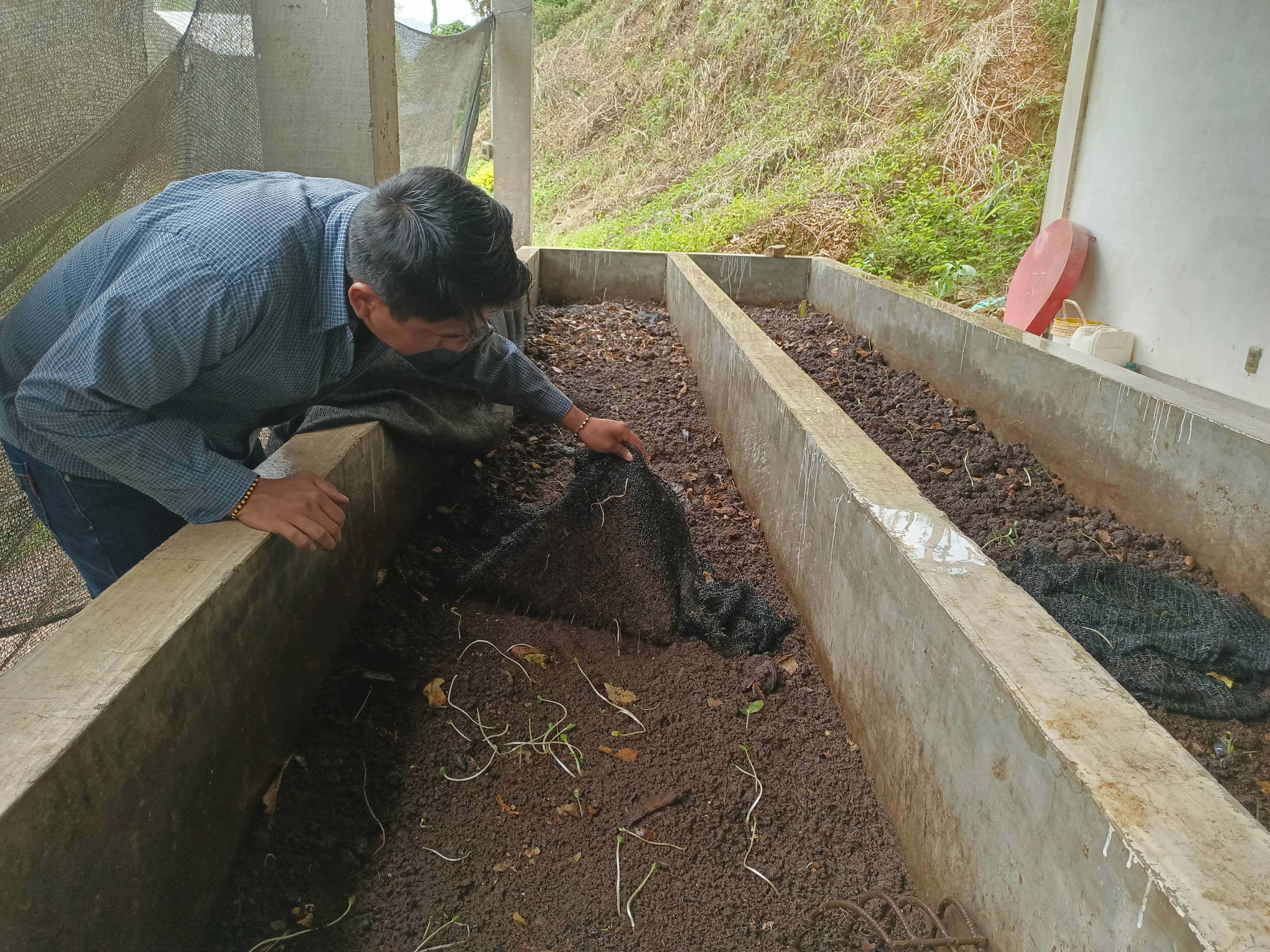 Vivero y Bioinsumos CELCCAR